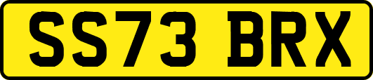 SS73BRX
