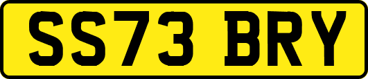 SS73BRY
