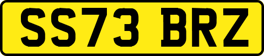 SS73BRZ