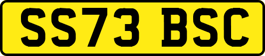 SS73BSC