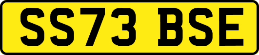 SS73BSE