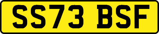 SS73BSF