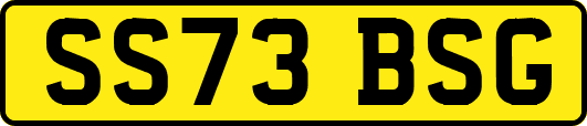 SS73BSG