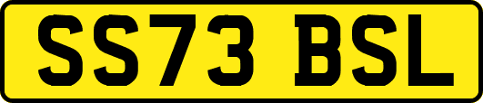 SS73BSL