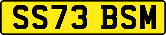 SS73BSM