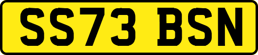 SS73BSN