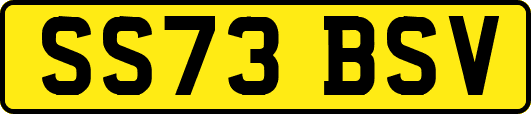 SS73BSV