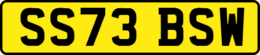 SS73BSW