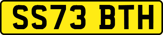 SS73BTH