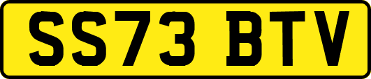 SS73BTV