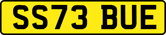 SS73BUE