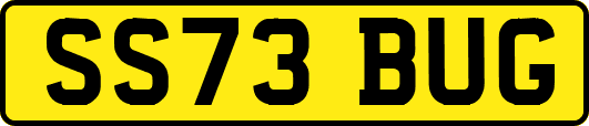 SS73BUG