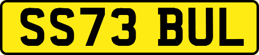 SS73BUL