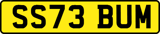 SS73BUM