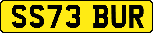 SS73BUR