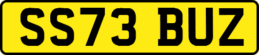 SS73BUZ