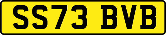 SS73BVB