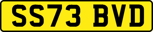 SS73BVD