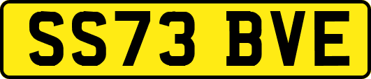 SS73BVE