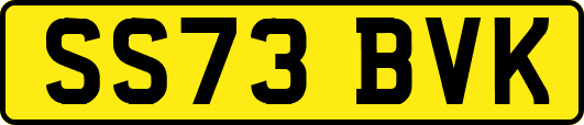 SS73BVK
