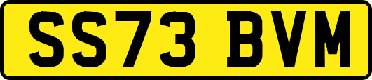SS73BVM