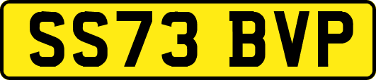 SS73BVP