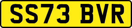 SS73BVR