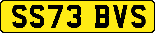 SS73BVS
