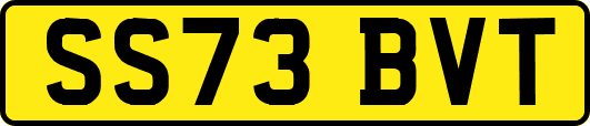 SS73BVT