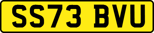 SS73BVU