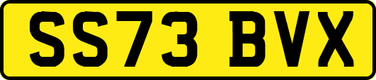 SS73BVX