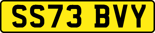 SS73BVY