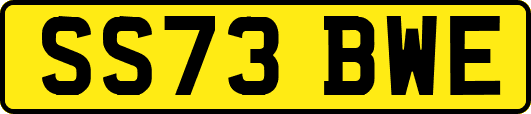 SS73BWE