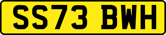 SS73BWH