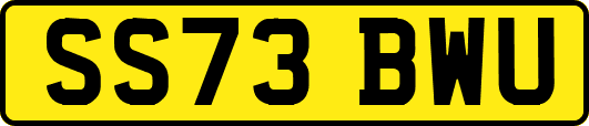 SS73BWU