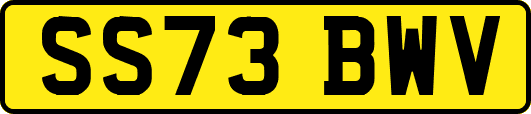 SS73BWV