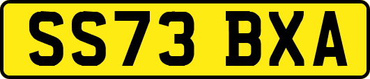 SS73BXA