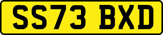 SS73BXD