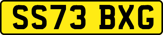 SS73BXG