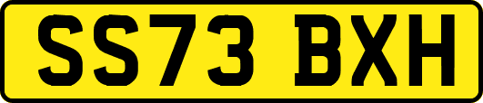 SS73BXH