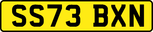 SS73BXN