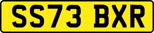 SS73BXR