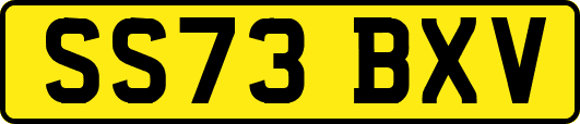 SS73BXV