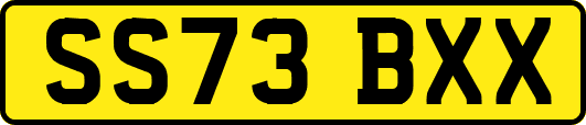 SS73BXX