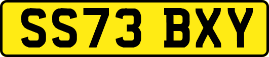 SS73BXY