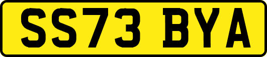 SS73BYA