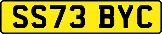 SS73BYC