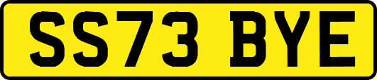 SS73BYE