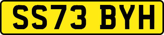 SS73BYH