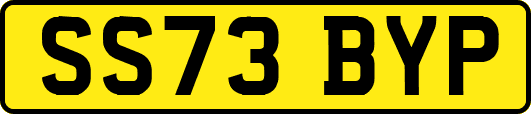 SS73BYP